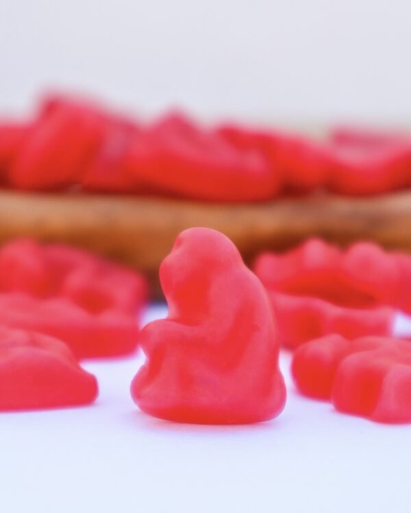 Red Monkeys candy zoo Godis Fabrica