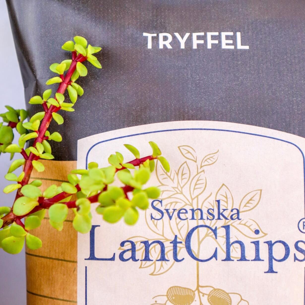 LantChips Truffle LantChips patatas fritas con trufa swedish chips tryffeli sipsit countryside chips luxury quality papas patatas lujo lujoso gourmet sipsit truffle luxurious old school ecologic natural