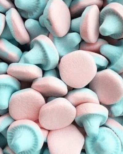 Fizzy Mushrooms – The weirdest forest trip you will ever take.