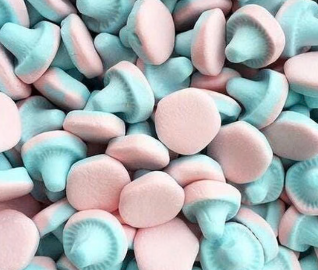 Fizzy Mushrooms – The weirdest forest trip you will ever take.