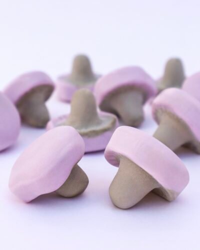 Violet Liquorice Mushrooms toms swedish candy nube regaliz purple