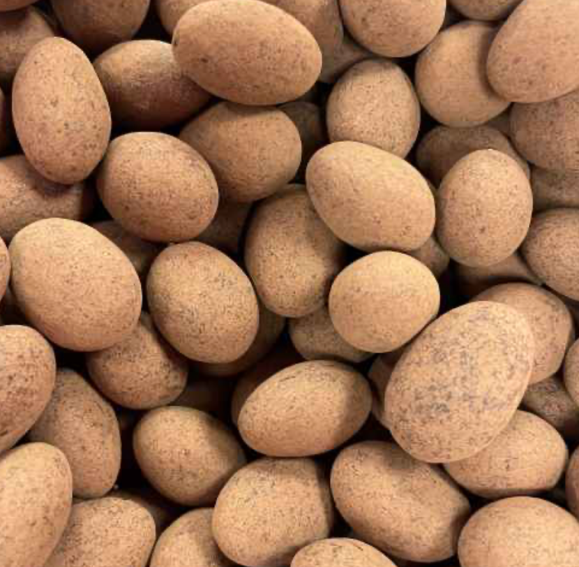 Cinnamon Chocolate Almonds