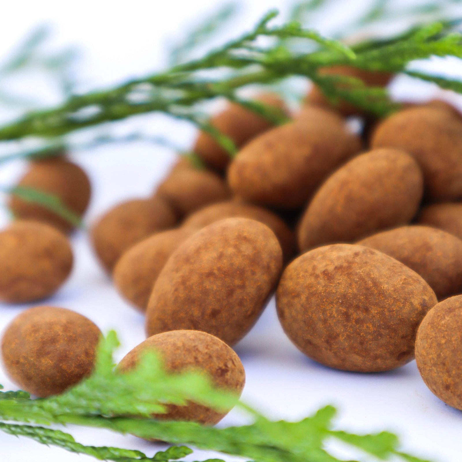 Cinnamon Chocolate Almonds nuts with chocolate and cinnamon canela almendras con chocolate nueces christmas chocolate sweets navidad natal narr konfektyr Narr goods natural organic