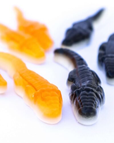 Fruit Crocodiles strawberry blackcurrant flavour fresa crocodilo crocodile candy alligator jelly foam candy