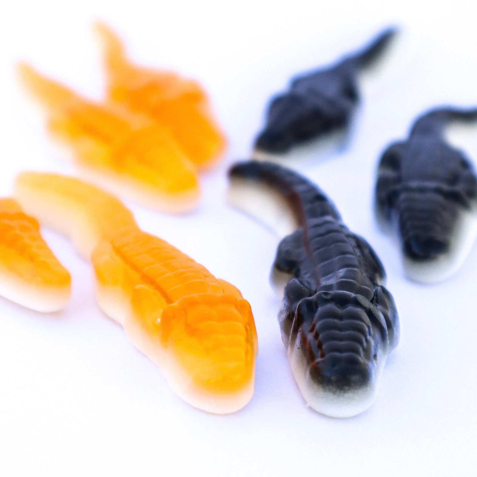 Fruit Crocodiles strawberry blackcurrant flavour fresa crocodilo crocodile candy alligator jelly foam candy