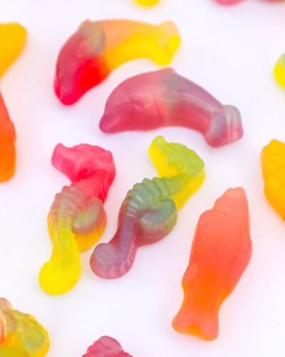 Rainbow Sea Gummies Malaco vegan candy chuches veganas halal frutos del mar