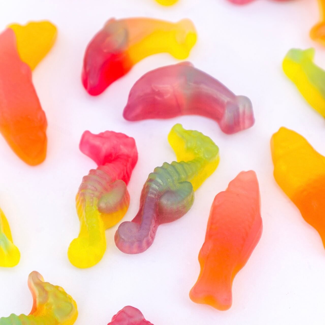 Rainbow Sea Gummies Malaco vegan candy chuches veganas halal frutos del mar